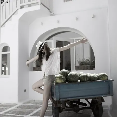 Hotell Terra Maria 3*